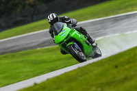 PJ-Motorsport-Photography-2020;anglesey;brands-hatch;cadwell-park;croft;donington-park;enduro-digital-images;event-digital-images;eventdigitalimages;mallory;no-limits;oulton-park;peter-wileman-photography;racing-digital-images;silverstone;snetterton;trackday-digital-images;trackday-photos;vmcc-banbury-run;welsh-2-day-enduro